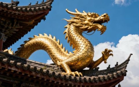 今期买鼠输尽光打一最佳生肖生肖，揭秘诠释解析落实
